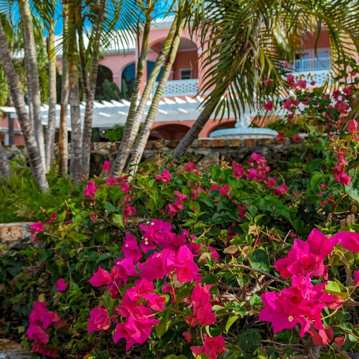 The Buccaneer Beach & Golf Resort Кристіанстед Номер фото